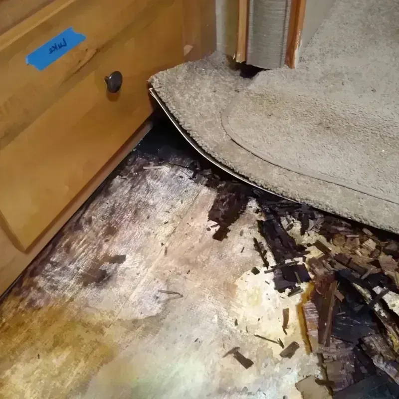 Wood Floor Water Damage in Echelon, NJ